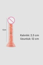 Vibra Portatif Vantuzlu Dildo - Damarlı ve Kutulu (13 cm) - Görsel 5